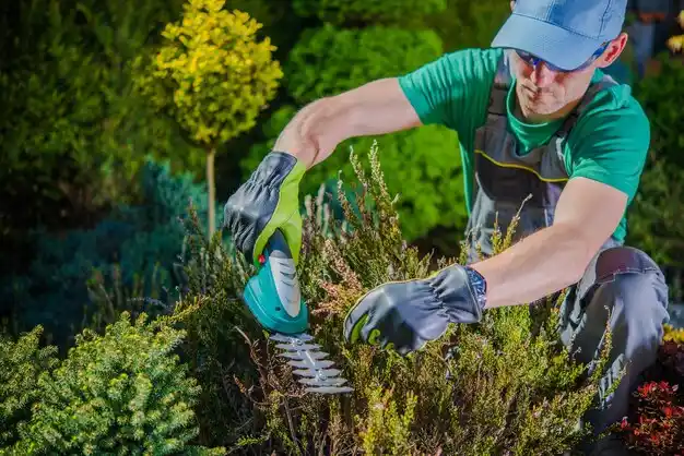 landscaping services Zeeland